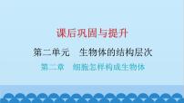 2024年中考生物一轮复习 第二单元第二章 细胞怎样构成生物体课件