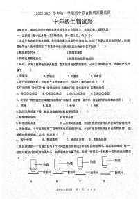 山东省枣庄市市中区2023-2024学年七年级上学期期中生物试题