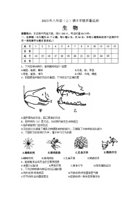 湖南省邵阳市新邵县2023-2024学年八年级上学期期中考试生物试题