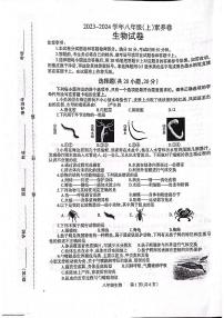 河南省焦作市温县2023-2024学年八年级上学期期中生物试题