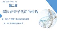 人教版 (新课标)八年级下册第二节  基因在亲子代间的传递优质教学课件ppt