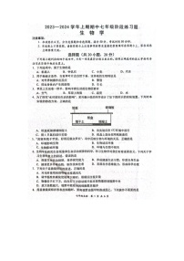 河南省周口市西华县2023-2024学年七年级上学期期中生物试题