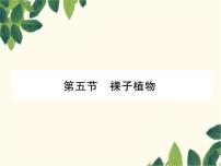 初中生物第五节 裸子植物课前预习课件ppt