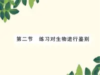 初中生物第二节 练习对生物进行鉴别图片课件ppt