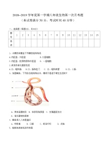 大同市矿区恒安一中八年级9月月考生物试卷及答案