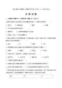 四川省自贡市第二十八中学校2023-2024学年七年级上学期期中考试生物试题