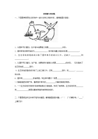 七年级生物上册识图题专项训练