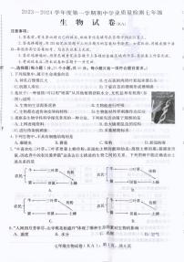 河北省石家庄市赵县2023-2024学年七年级上学期期中生物试题