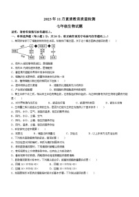 山东省菏泽市曹县2023-2024学年七年级上学期期中生物试题