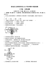 四川省广安市岳池县2023-2024学年八年级上学期期中生物试卷(无答案)