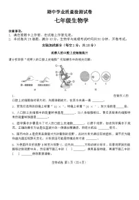 辽宁省大连市金普新区2023-2024学年七年级上学期期中考试生物试题（word版含答案）