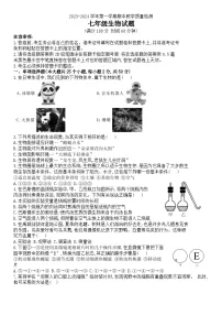 山东省德州市禹城市2023-2024学年七年级上学期期中考试生物试题（word版含答案）