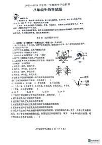 山东省滨州市无棣县2023-2024学年八年级上学期期中考试生物试题