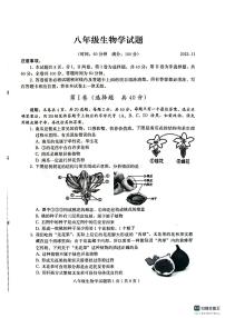 山东省潍坊市诸城市2023-2024学年八年级上学期期中生物学试题