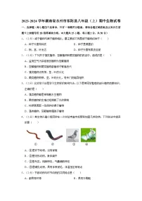 湖南省永州市祁阳县2023-2024学年八年级上学期期中生物试卷