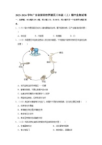 广东省深圳市罗湖区2023-2024学年八年级上学期期中生物试卷