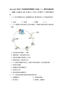 广东省深圳市罗湖区2023-2024学年八年级上学期期中生物试卷