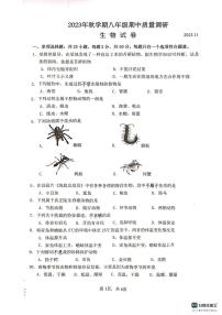 江苏省常州市金坛区2023-2024学年八年级上学期期中质量调研生物试卷