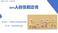 初中人教版 (新课标)第四节 人的性别遗传优质教学课件ppt