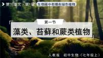 人教版 (新课标)七年级上册第一节 藻类、苔藓和蕨类植物教学课件ppt