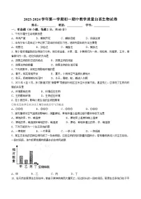 广东省湛江市雷州市第三中学2023-2024学年七年级上学期期中生物试卷(无答案)