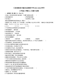 江西省新余市渝水区新溪中学2023-2024学年八年级上学期11月期中生物试卷