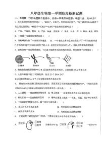 山东省德州市平原县三校联考2023-2024学年八年级上学期期中生物试题