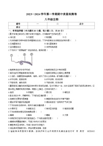 江西省赣州市于都县2023-2024学年八年级上学期期中考试生物试题(无答案)