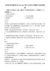 山东省日照市新营中学2023-2024学年七年级上学期期中考试生物试卷（解析版）