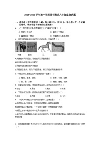 福建省南平市浦城县2023-2024学年八年级上学期期中考试生物试题