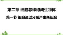 初中生物人教版 (新课标)七年级上册第一节 细胞通过分裂产生新细胞教课内容ppt课件