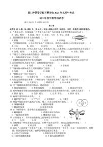 福建省厦门市外国语学校石狮分校2023-2024学年八年级上学期期中考试生物试题