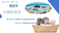 生物八年级下册第五节 生物的变异获奖教学课件ppt