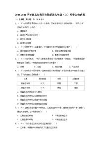 湖北省黄石市阳新县2023-2024学年七年级上学期期中生物试卷