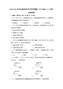 河南省郑州市中原区桐柏一中2023-2024学年七年级上学期期中生物学试卷