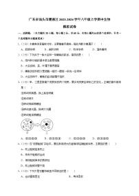 广东省汕头市潮南区2023-2024学年八年级上学期中生物模拟试卷（含答案）