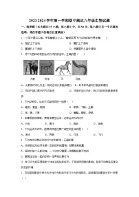 福建省南平市浦城县2023-2024学年八年级上学期期中考试生物试题（含解析）