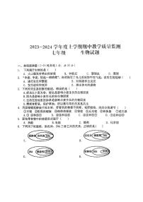 湖北省大冶市还地桥镇教联体2023—2024学年上学期七年级生物试题卷