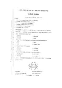 湖南省长沙市一中教育集团2023-2024学年八年级上学期期中生物试题