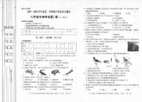 陕西省延安市富县2023-2024学年八年级上学期期中考试生物试题