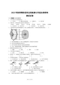 江苏省盐城市射阳县县城四校2023-2024学年七年级上学期期中阶段性自我检测生物试卷