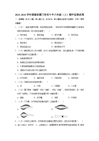 福建省厦门市双十中学2023-2024学年八年级上学期期中生物试卷