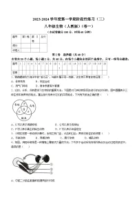 山西省朔州市部分学校2023-2024学年八年级上学期第二次月考生物试卷
