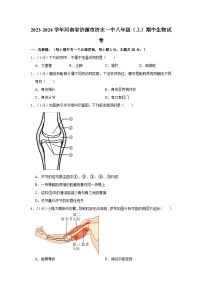 河南省济源市济水一中2023-2024学年八年级上学期期中生物试卷