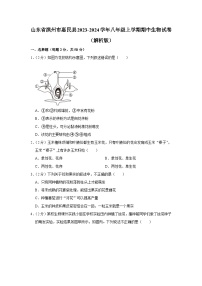 山东省滨州市惠民县2023-2024学年八年级上学期期中生物试卷