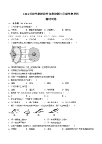 江苏省盐城市射阳县县城四校2023-2024学年七年级上学期期中阶段性自我检测生物试卷