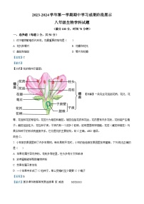 山东省德州市宁津县育新中学、刘营伍中学2023-2024学年八年级上学期期中生物试题（解析版）