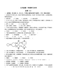 山东省济宁市兖州区朝阳学校2023-2024学年七年级上学期12月月考生物试题