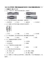 甘肃省武威市凉州区2023-2024学年八年级上学期期末模拟生物试卷（一）