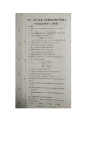 河南省商丘市实验中学2023-2024学年七年级上学期12月月考生物试题